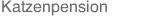 Katzenpension