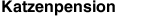 Katzenpension